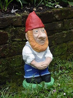 Gnome
